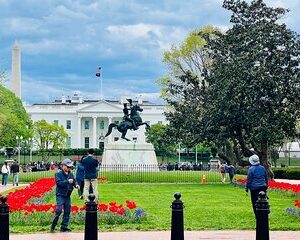 Save 6.26%! Washington, D.C. Private 4-Hour Day Tour