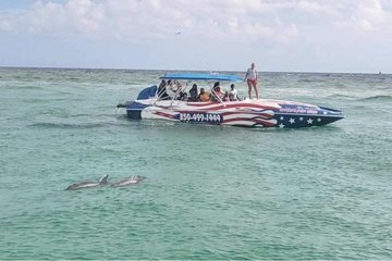 Screaming Eagle Speedboat Thrills and Dolphin Watching in Destin