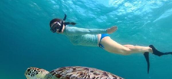 Sea Turtle Snorkel Tour