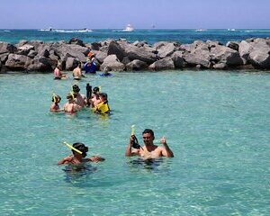Shell Island Snorkel & Dolphin Tour from Panama City Beach