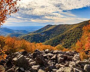 Shenandoah Private Skyline Drive Day Tour From Washington DC