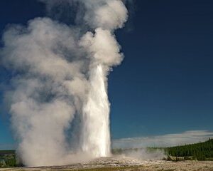 Yellowstone and Grand Teton Tour from Salt Lake City