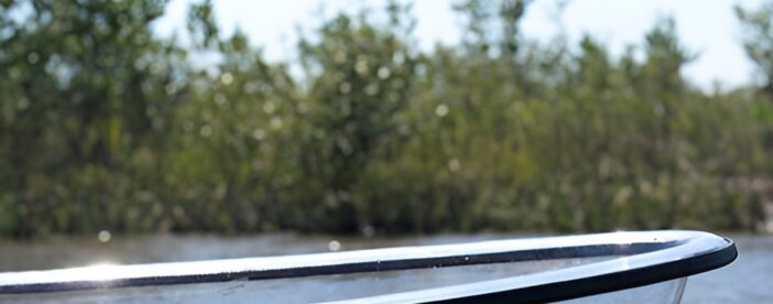 2-Hour Glass Bottom Guided Eco Tour in Flagler County-Small-group