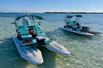 2 Hour Key West Mini Catamaran Eco Tour