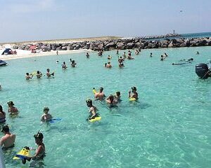 2-Stop Snorkeling and Dolphin Cruise from Destin