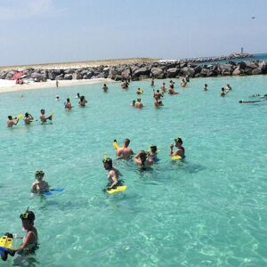 2-Stop Snorkeling and Dolphin Cruise from Destin