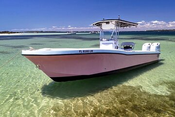 3 Hour Dolphin Tour and Snorkeling in Shell Island