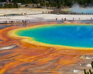 4 Day VIP Small Group Tour of Yellowstone and Grand Teton