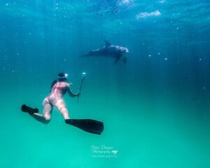 4 Hour Private Dolphin Cruise