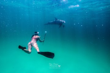 4 Hour Private Dolphin Cruise