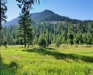 5 Day VIP Small Group Tour of Yellowstone and Grand Teton