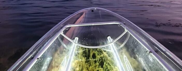 Anna Maria Island - Clear Kayak LED Night Glass Bottom Tour