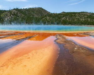 Best of Yellowstone - Guided National Park Safari Tour