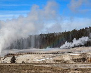 Best of Yellowstone Private National Park Safari Tour