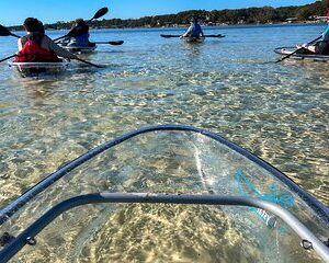 Clear Kayak Ecotour Destin Ft. Walton Beach