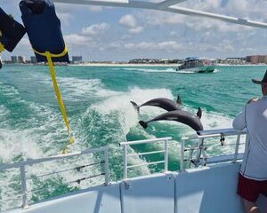 Daytime Dolphin Cruise in Destin