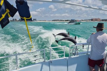 Daytime Dolphin Cruise in Destin