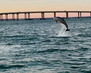 Destin Harbor Sightseeing Boat Ride with Captain