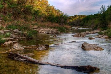 Dinosaur Valley State Park Full-Day Adventure from Dallas