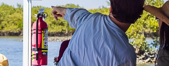 Discovery Dolphin Boat Tour