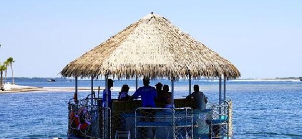 Dolphin Sightseeing Tiki Boat Tour 90 minutes