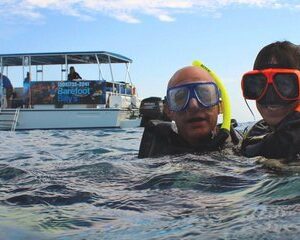 Dolphin Watch and Snorkel Tour in Key West