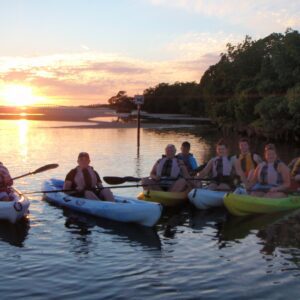 Fort Myers Beach: Guided Kayak Sunset Tour in Pelican Bay