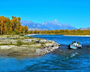 Full Day Guided Fly Fishing Trip From Jackson Hole