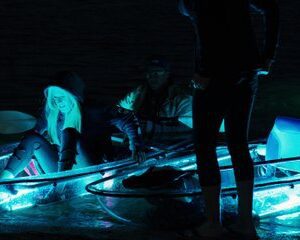 Glow In the Dark Clear Kayak Tour of St Augustine