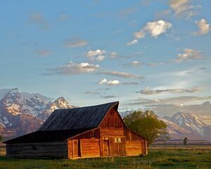 Half Day Private Sunrise Wildlife Safari