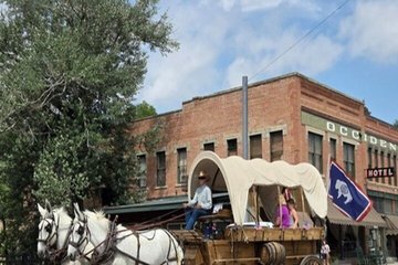 Historical Wagon Tours Heart of Buffalo