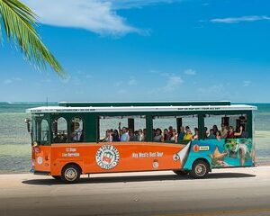 Key West Shore Excursion: Hop-On Hop-Off Trolley Tour