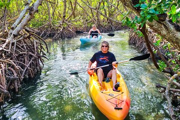 Mangrove Tunnel & Manatee Kayak Eco-Tour