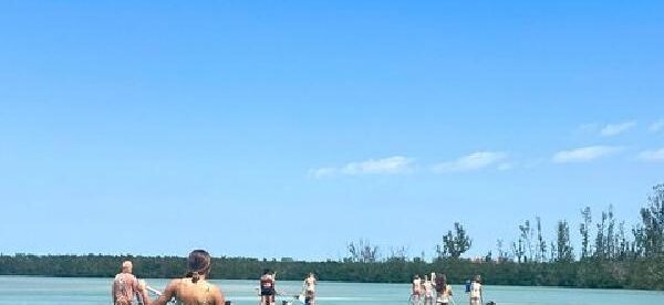 Mangroves & Hidden Beach Kayak Tour