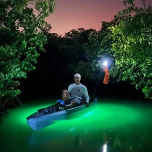 Naples Guided Sunset Kayak Tour Activity