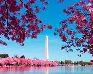 Narrated Boat Cruise & DC Bus Tour with 10 Stops, Entry Tickets