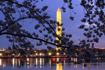National Mall Night Tour with 10+ Attractions & Cherry Blossoms
