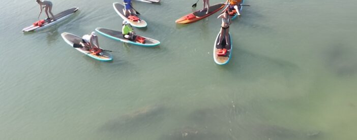 New Smyrna Dolphin and Manatee Kayak and SUP Adventure Tour