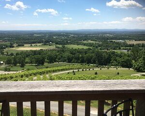 Private Loudoun County Wine Tour from DC with 3 Winery Stops