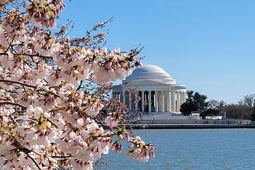 Private Washington DC Tour with Changing of the Guard Ceremony