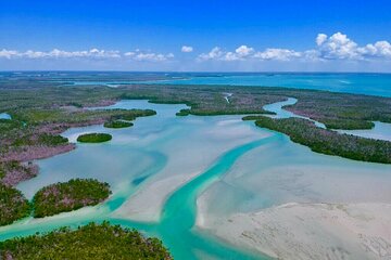 Private Wildlife and Shelling Tour in Marco Island