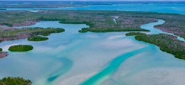 Private Wildlife and Shelling Tour in Marco Island