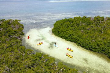 Save 15.00%! Key West Hidden Sanctuary Mangrove Kayak Tour With Drinks