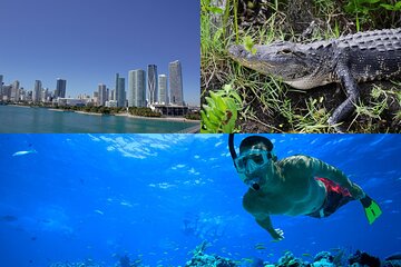Save 16.00%! 3-Day Florida: Miami Bus & Boat, Everglades & Key West Snorkeling