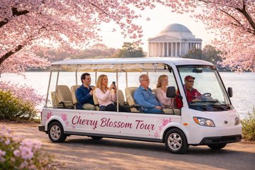 Save 20.00%! Washington DC Cherry Blossom Tour by E cart