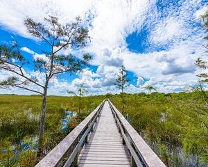 Save 9.98%! Everglades National Park: Self Guided Driving Audio Tour