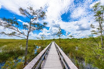 Save 9.98%! Everglades National Park: Self Guided Driving Audio Tour