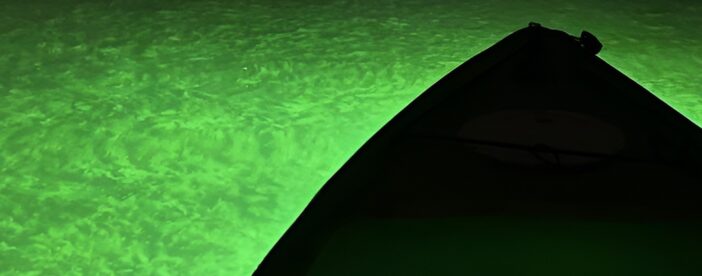 Sharkey's Glass Bottom Fish Feeding LED Night Tour in Sarasota