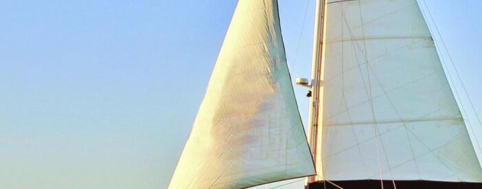 Shell Island & Dolphin Watch Sailing Cruise