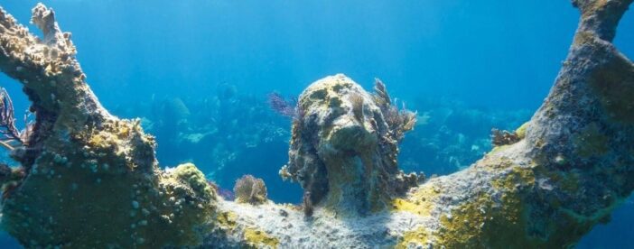 Snorkel Tour - Visit 2 Shallow Reefs John Pennekamp State Park